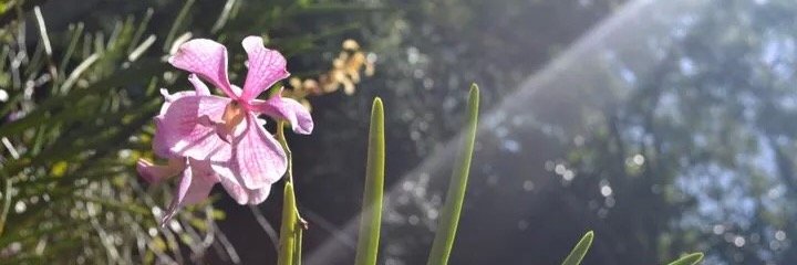 smeagan's profile banner image