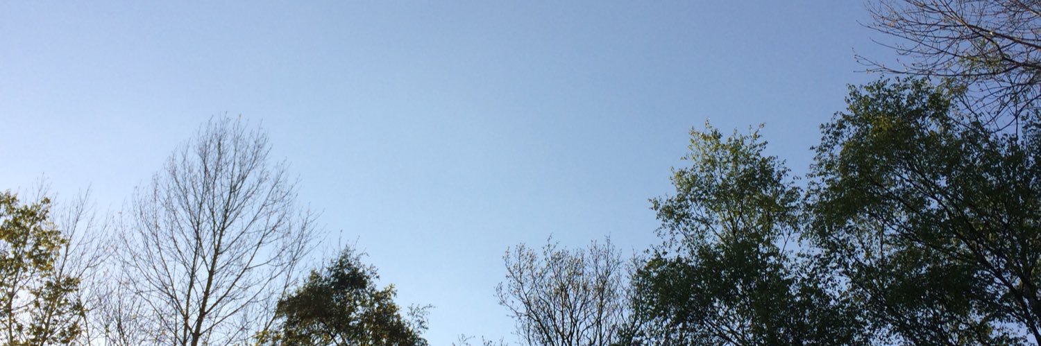 IamRich87's profile banner image
