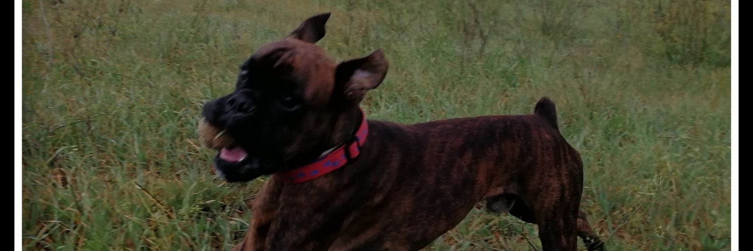 InesOdena's profile banner image