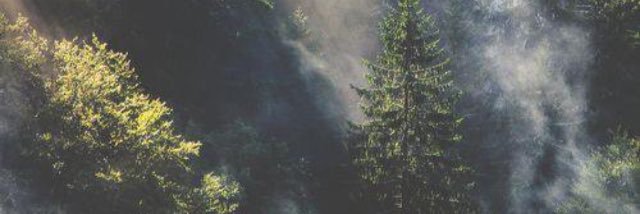 nela__n's profile banner image