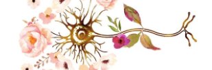 Candy_Rizzi's profile banner image