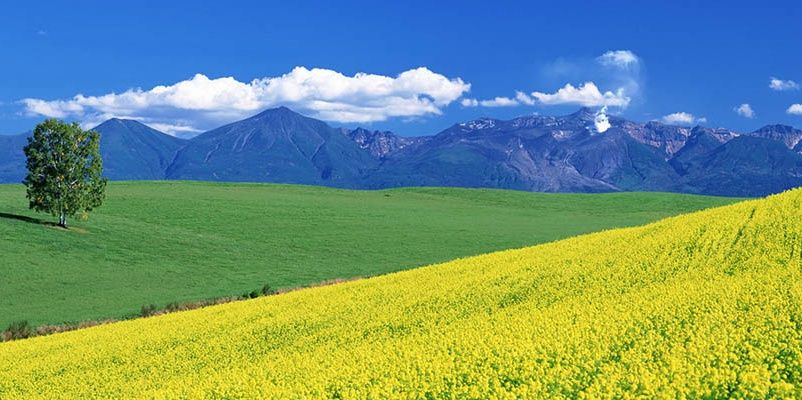 KoedaMk2's profile banner image