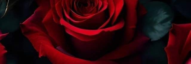 Maria José RS banner