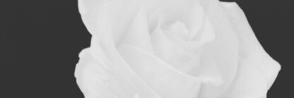 Bichiyal🤍 banner
