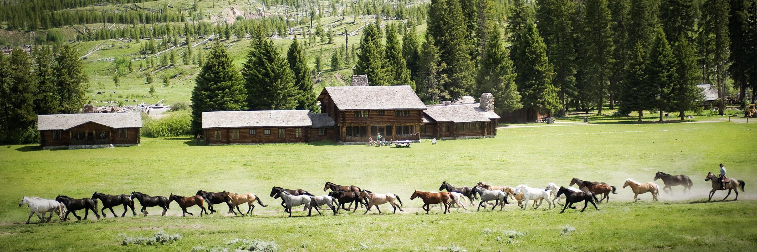 Seed Ranch banner
