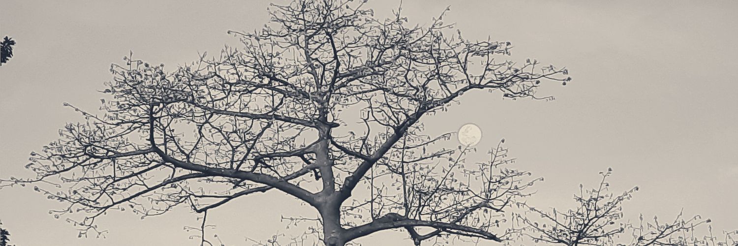 pjligan's profile banner image
