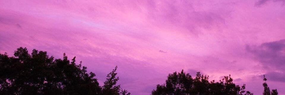 hermosavidmarce's profile banner image