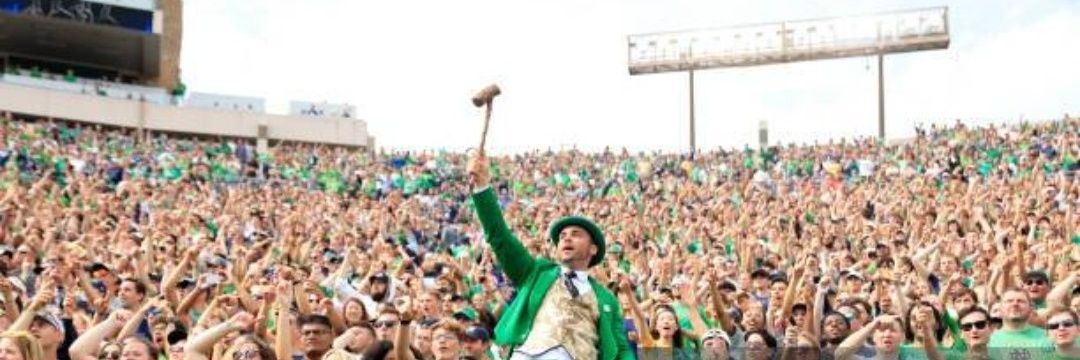Sean St Ledger banner