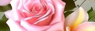 BalfouPinky's profile banner image