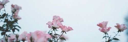 94hazelstyles's profile banner image
