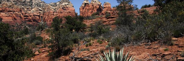 TeachingWind Profile Banner