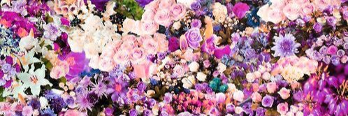 ale_pasquel's profile banner image