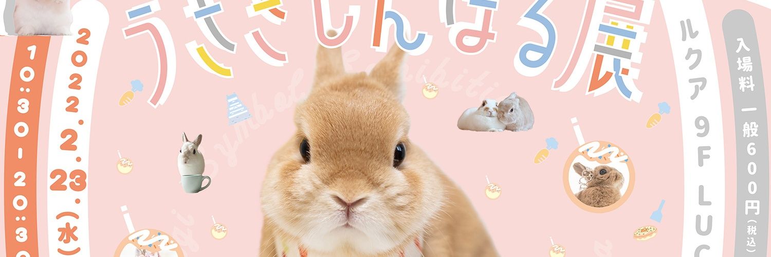 ぴたぽんＸ🐦🐰 banner