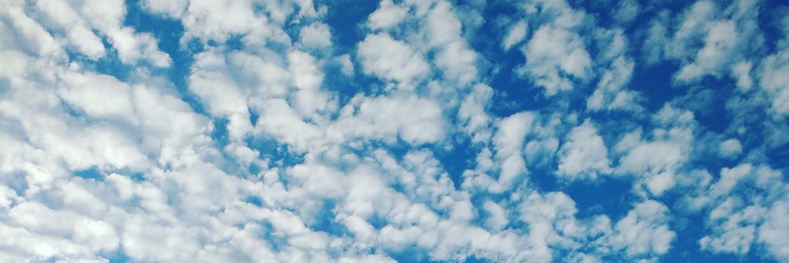 NicBenavides's profile banner image