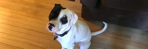 GabrielSPerna Profile Banner