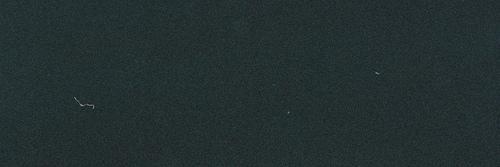 ProjectZRPG's profile banner image