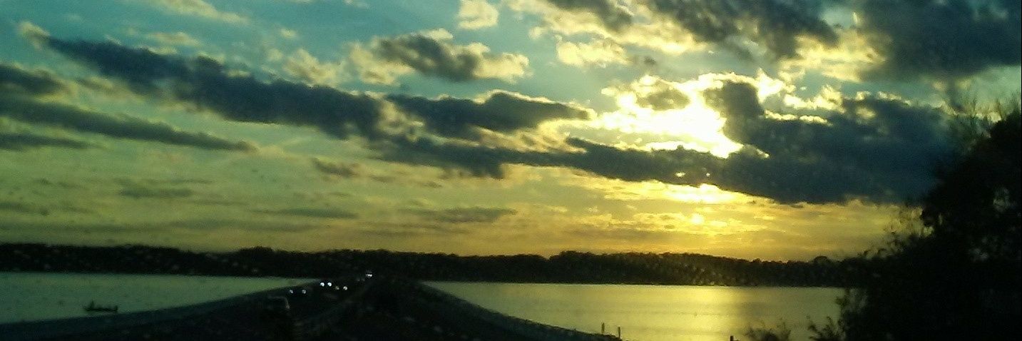 cmonk81's profile banner image