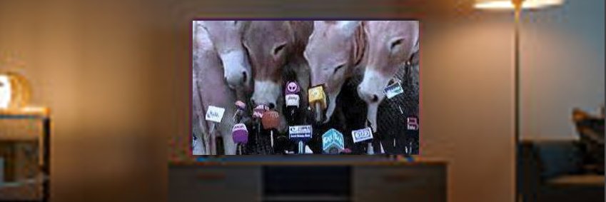 مساحات هلالية banner