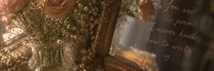 FallenStar890's profile banner image