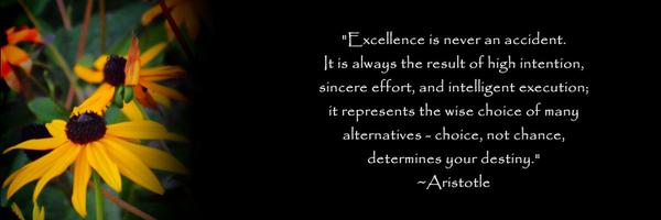 TamWilsonEdu Profile Banner