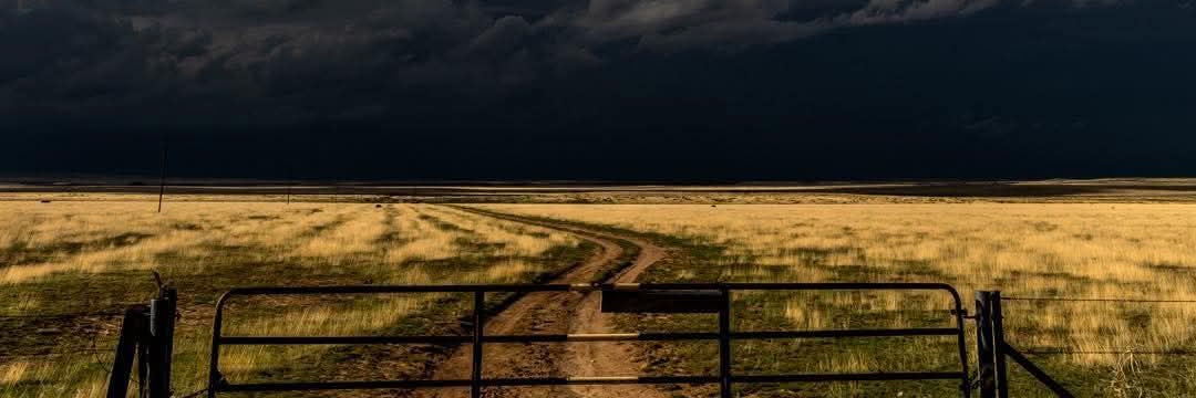 eltrackss's profile banner image