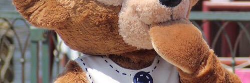 _pppynd's profile banner image