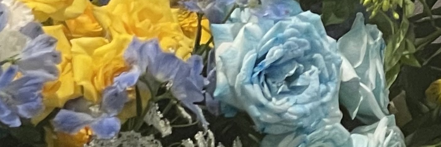 嘉穂 banner