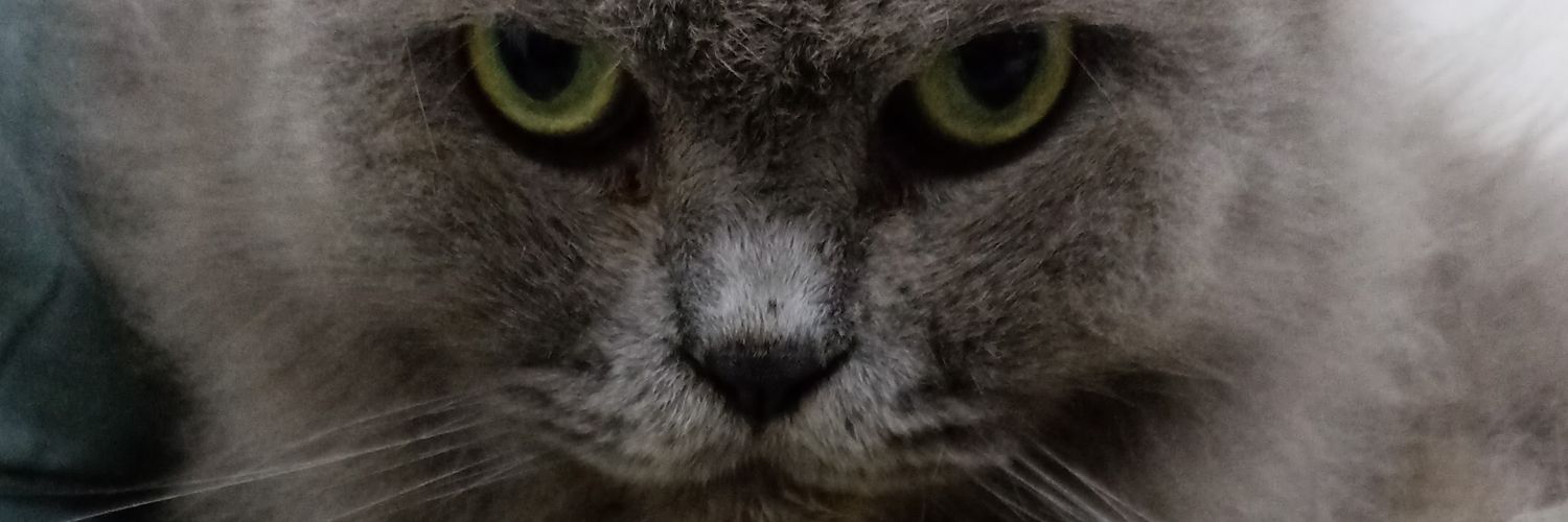 sharodz93's profile banner image