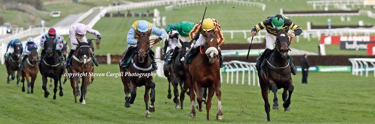 Michael O'Sullivan banner