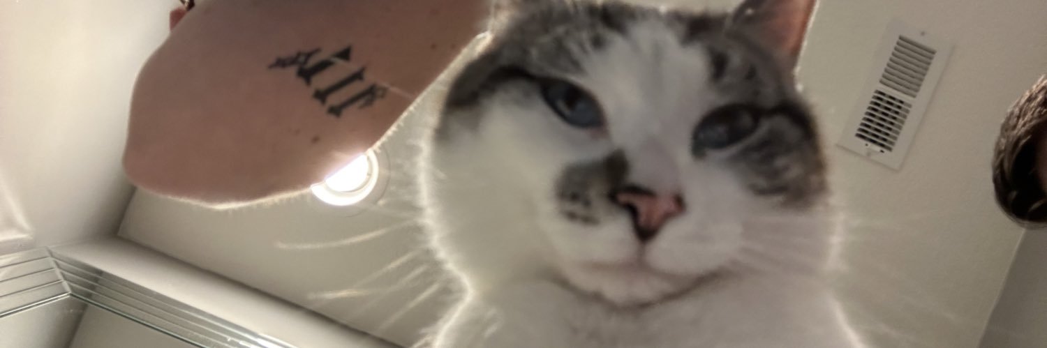 AlexLO2018's profile banner image
