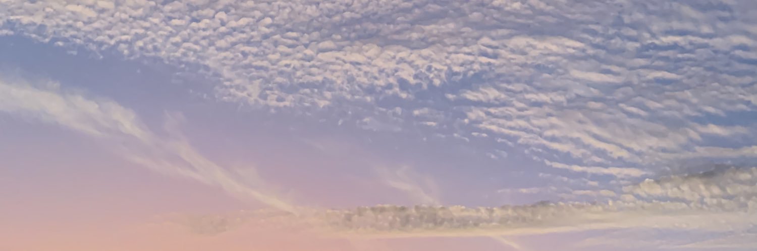 alejandraeme_'s profile banner image