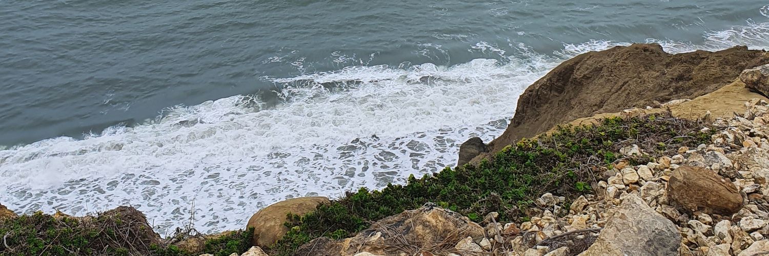 EveLiss's profile banner image