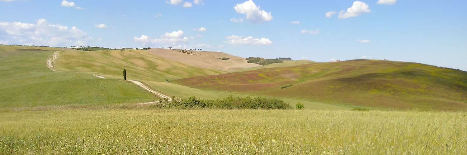 MapandFork's profile banner image