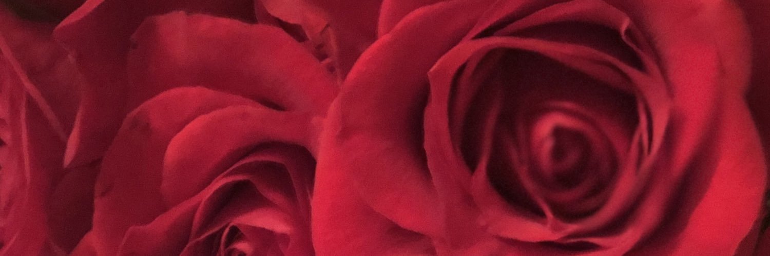 Amy__Mac__'s profile banner image