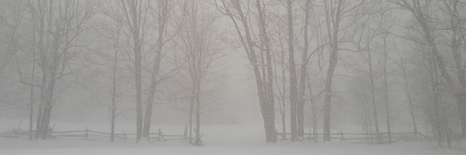 ScottyMo24's profile banner image