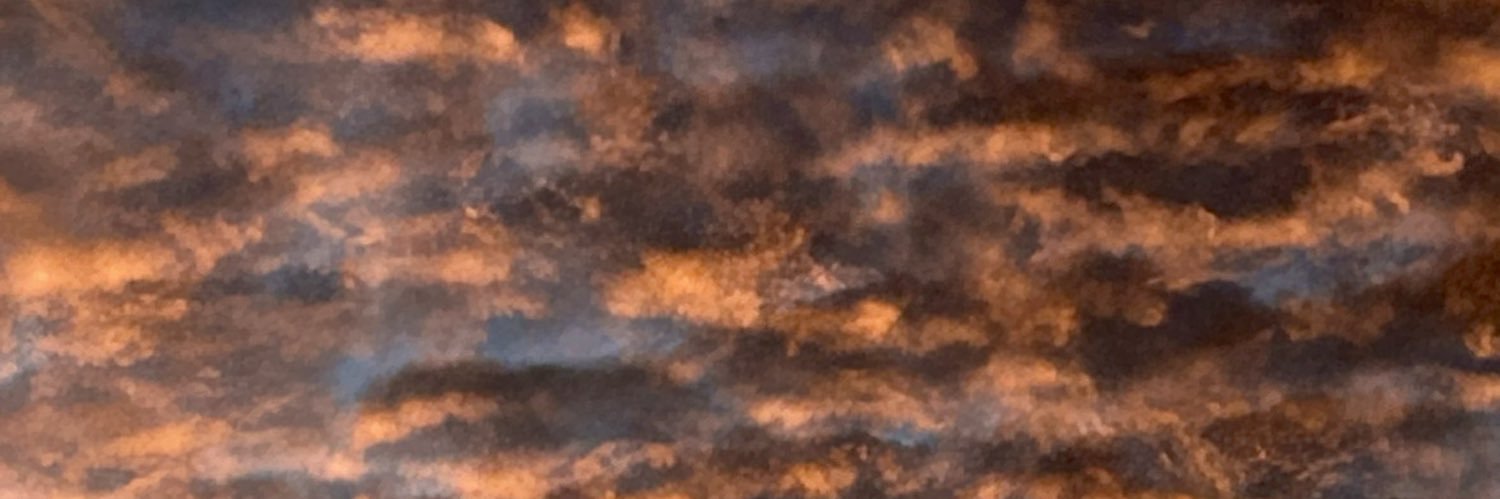 Haaaaarvard's profile banner image
