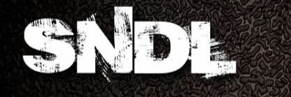 sndl_senoidal's profile banner image