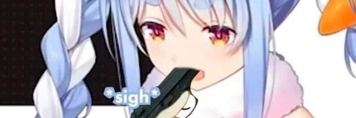 vitganster's profile banner image