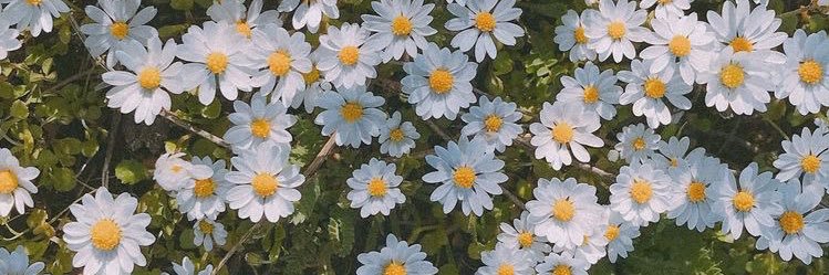hiitsemme's profile banner image