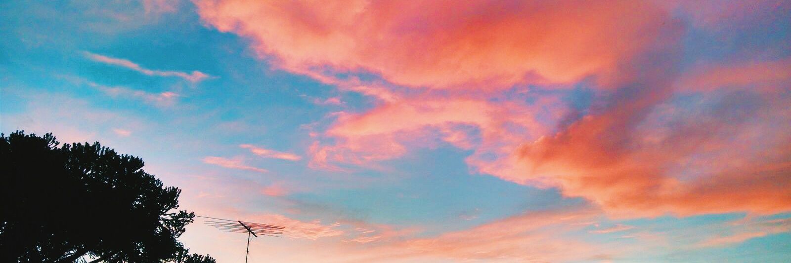 PedroEOAndrade's profile banner image