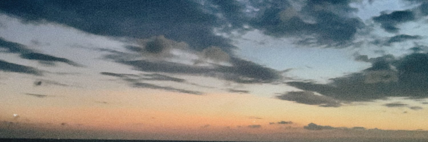 ranisawj's profile banner image