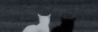 Kmsoness's profile banner image
