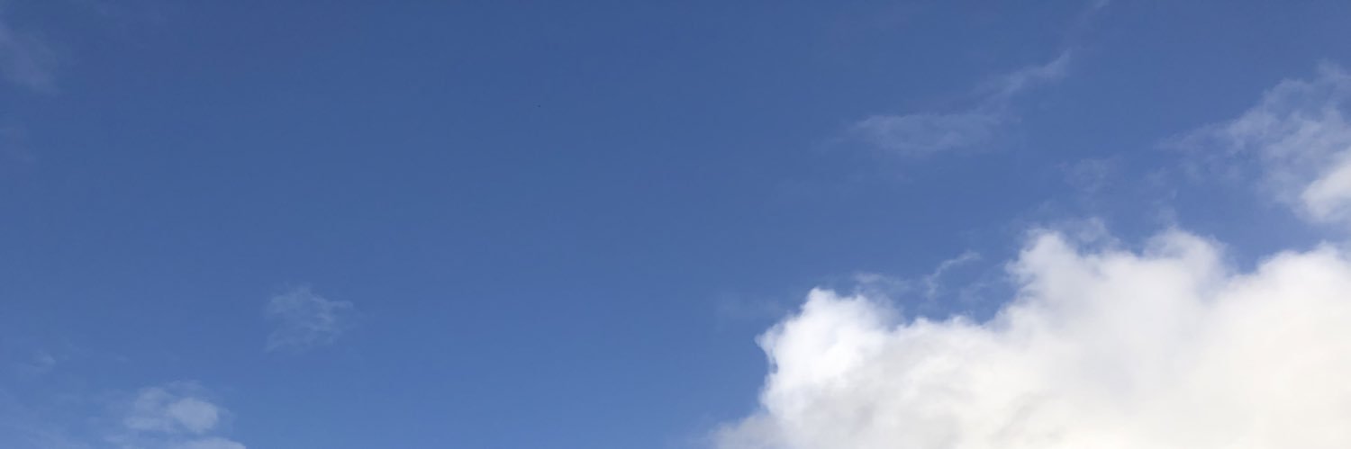 Amelia Hodsdon banner