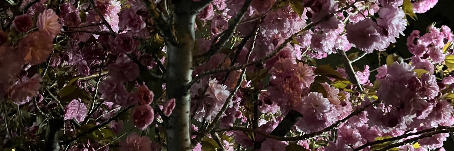 _ibuuu's profile banner image