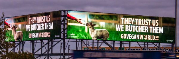 MerylPinque Profile Banner