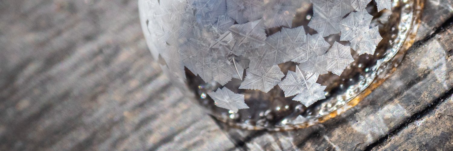 dsegre's profile banner image