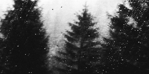 northridgerp's profile banner image
