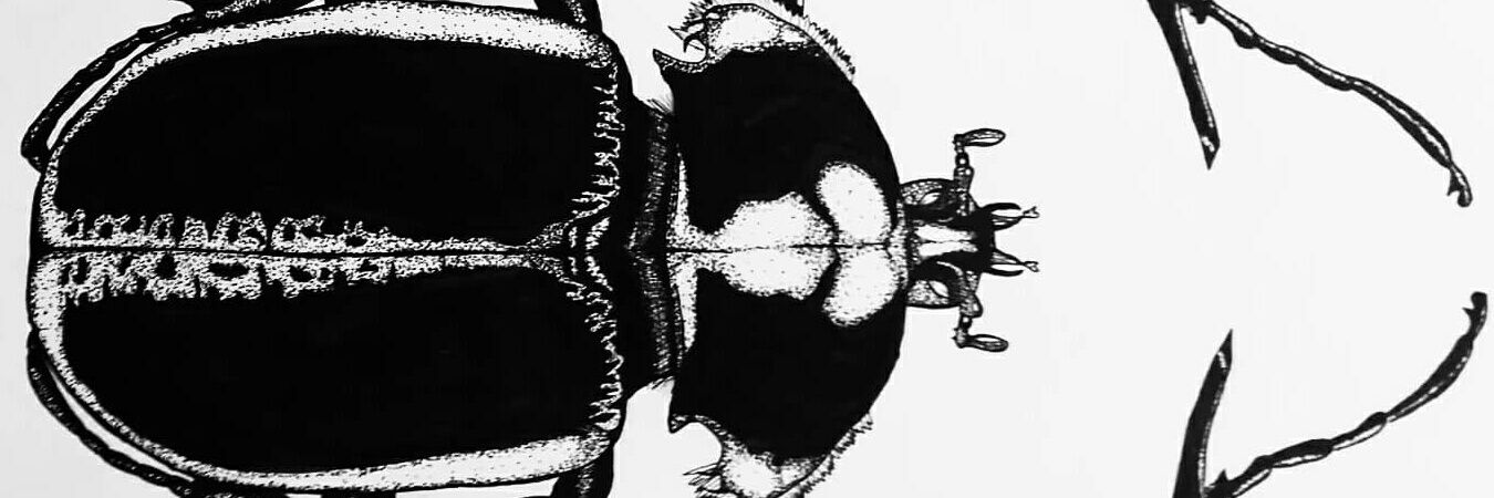 LastPlanetAlive's profile banner image