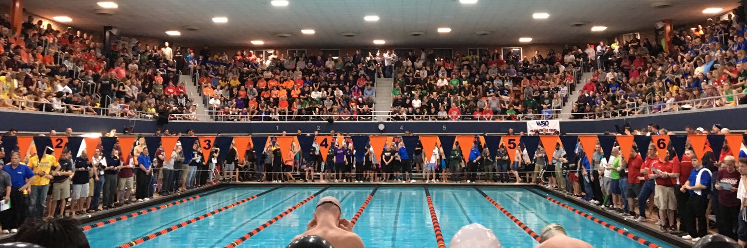Bison Aquatics banner