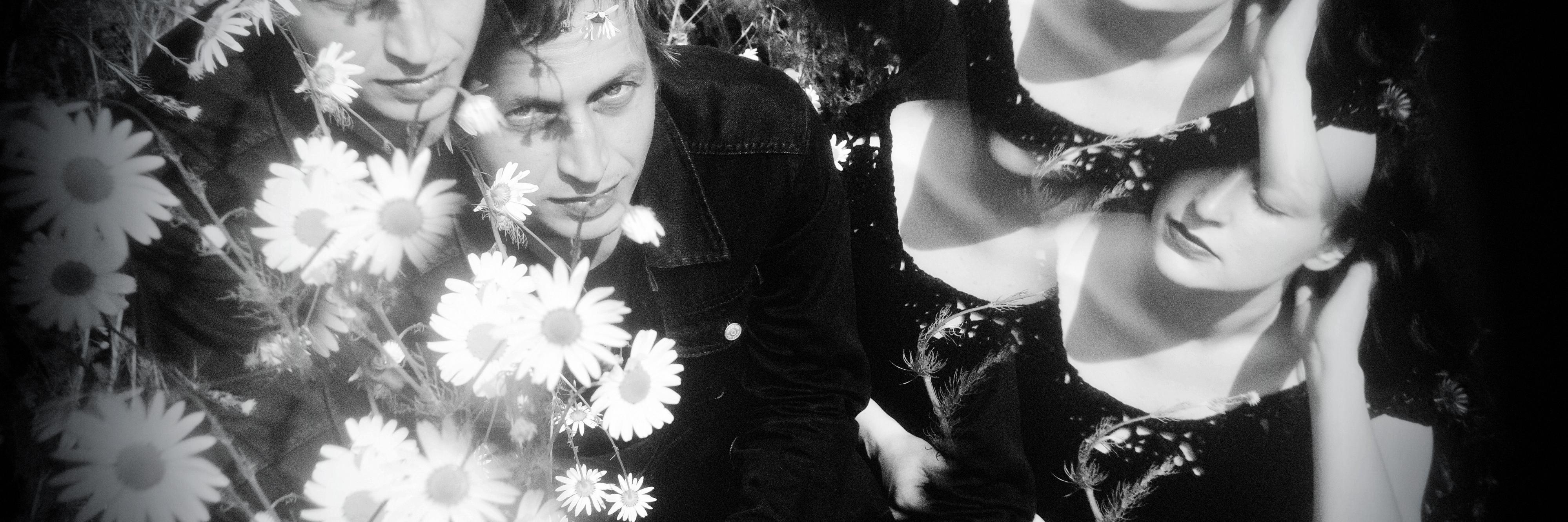 Cats of Transnistria banner